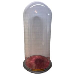 Glass Domes